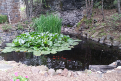 Ponds | Water Gardens | Lily Pad Ponds | Backyard Pond Design