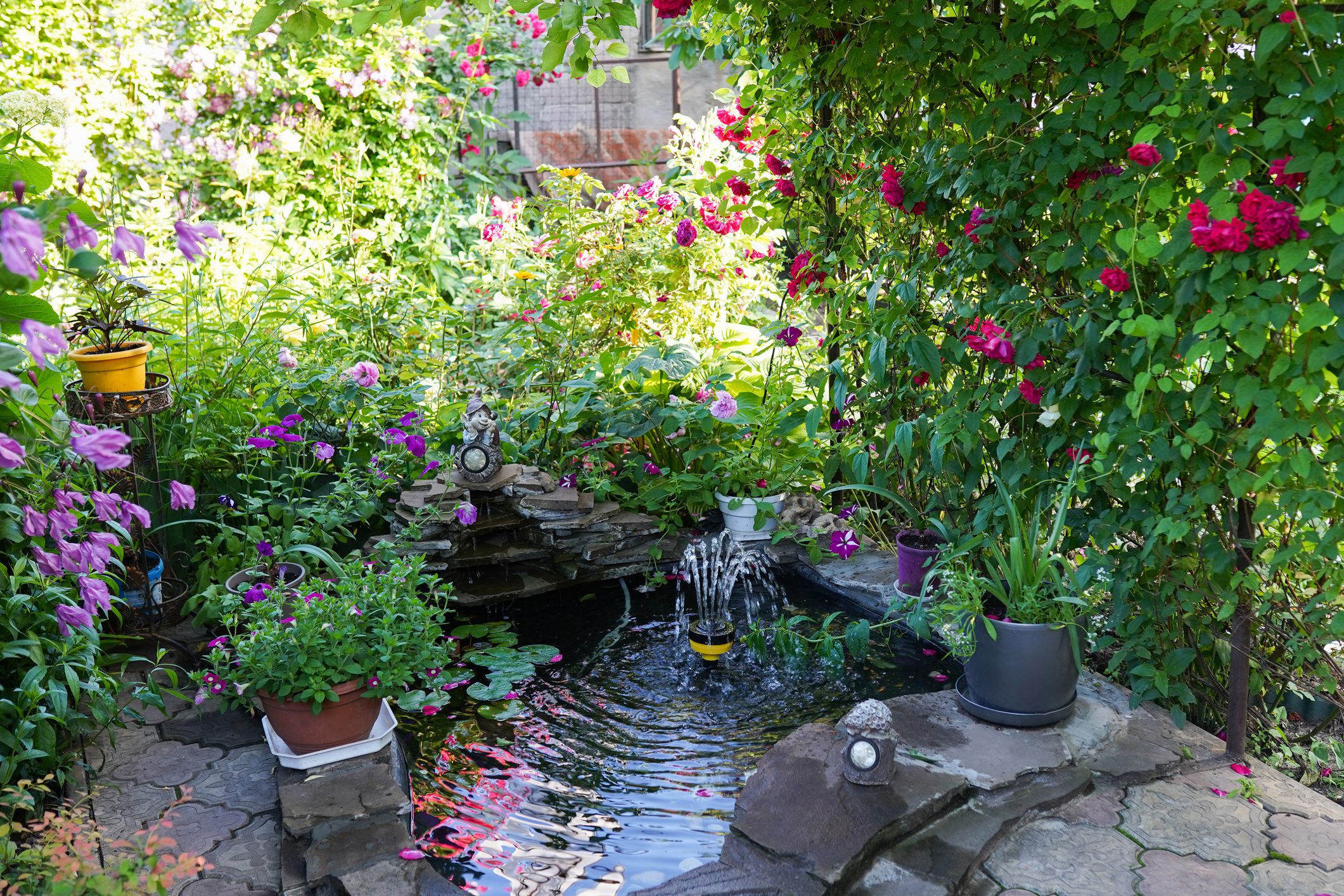 Garden pond surrounded by vibrant flowers.
