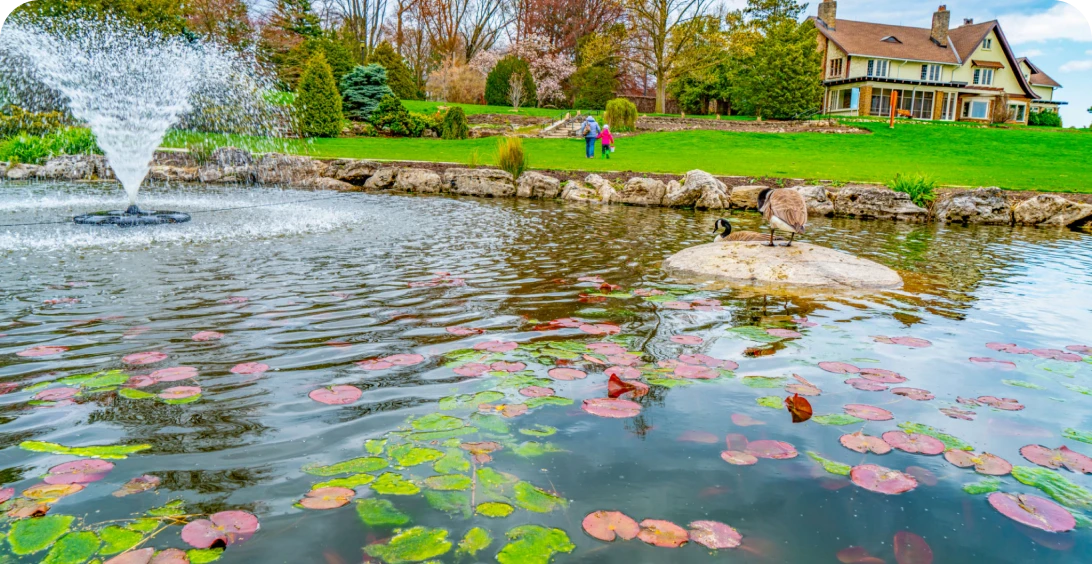House overlooking a tranquil pond